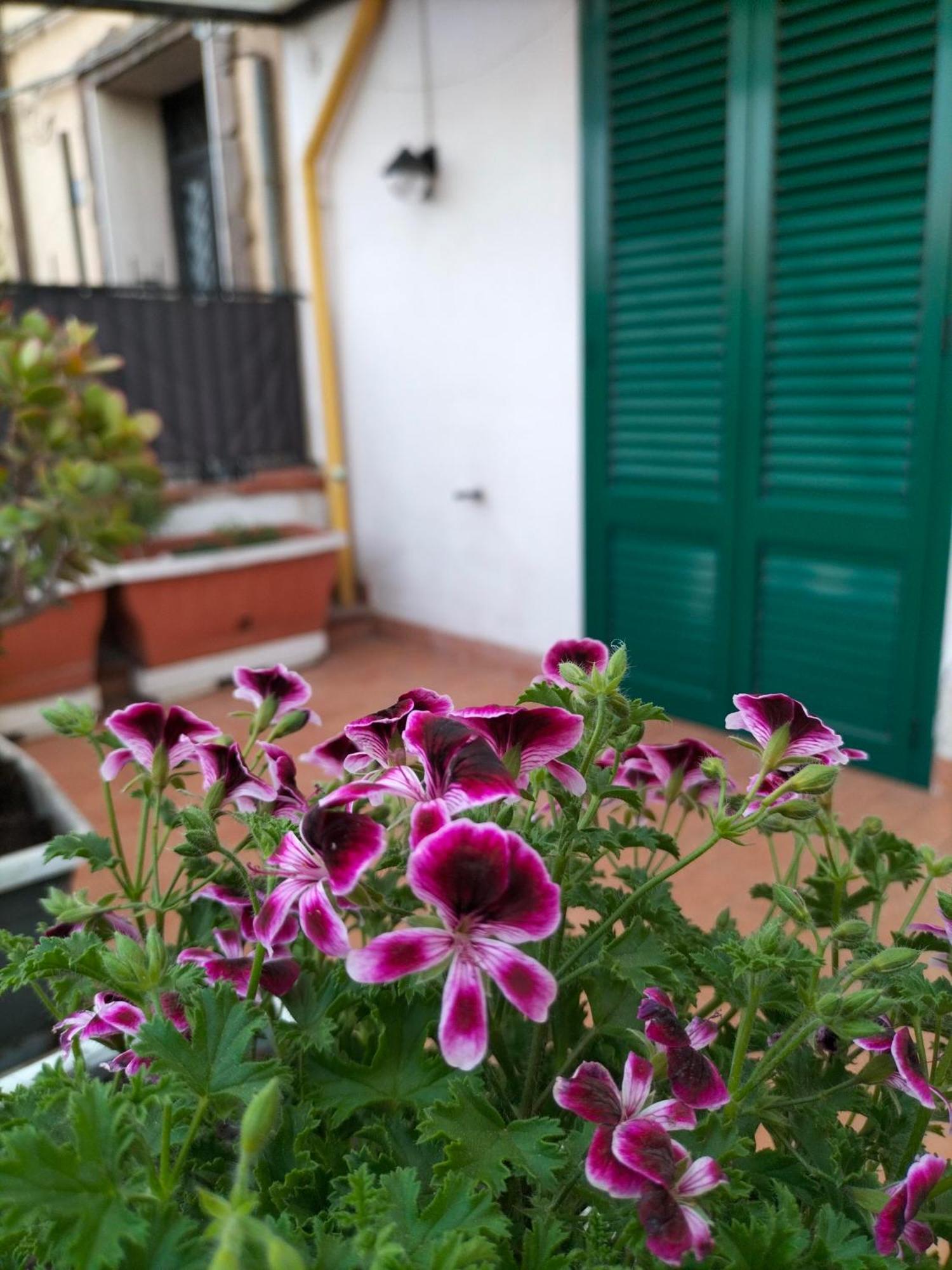 Ciuridda Mia Appartement Palermo Buitenkant foto