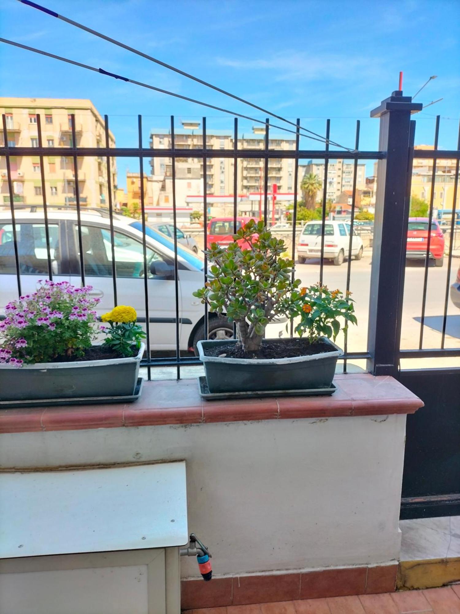 Ciuridda Mia Appartement Palermo Buitenkant foto