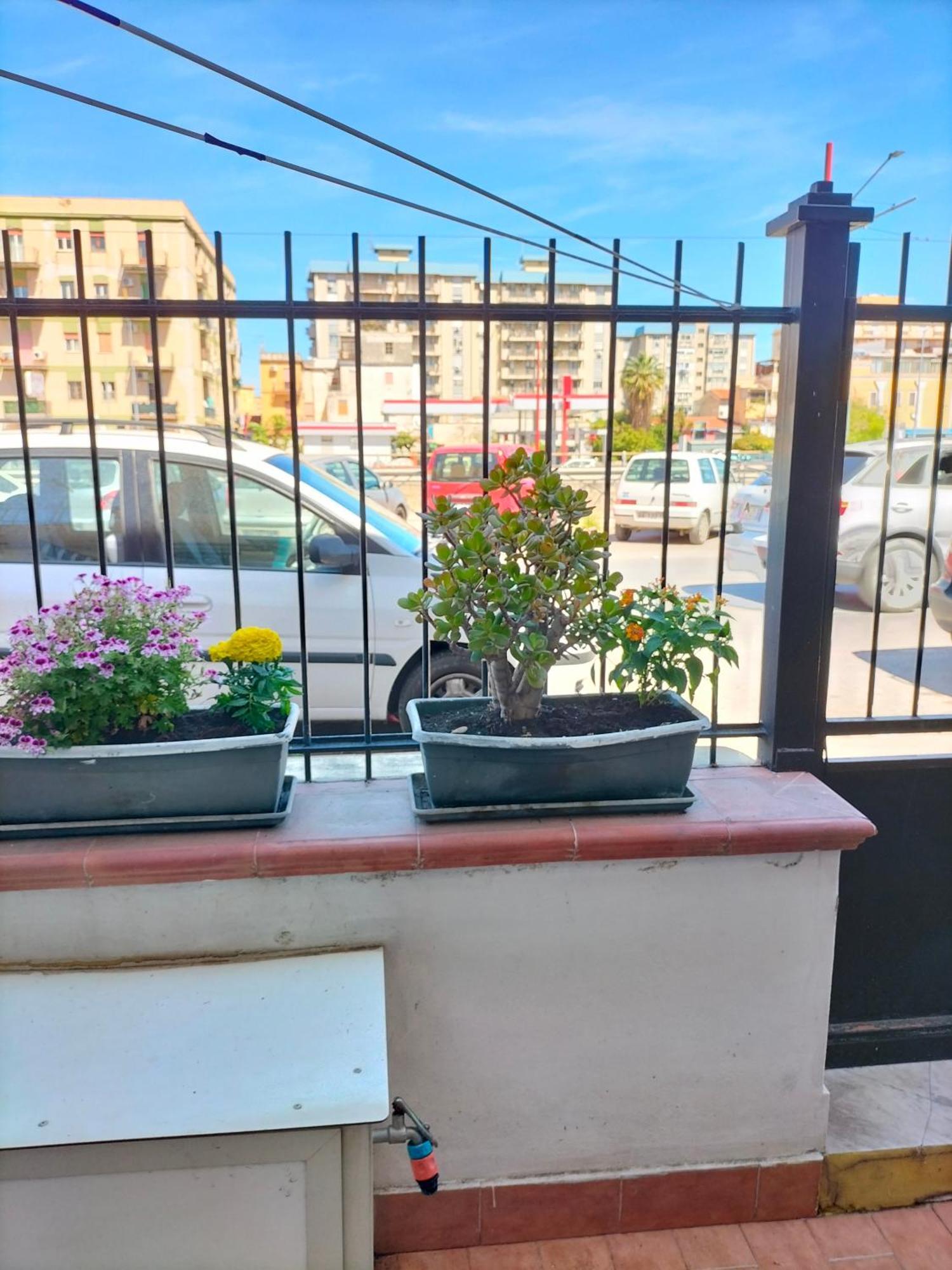 Ciuridda Mia Appartement Palermo Buitenkant foto