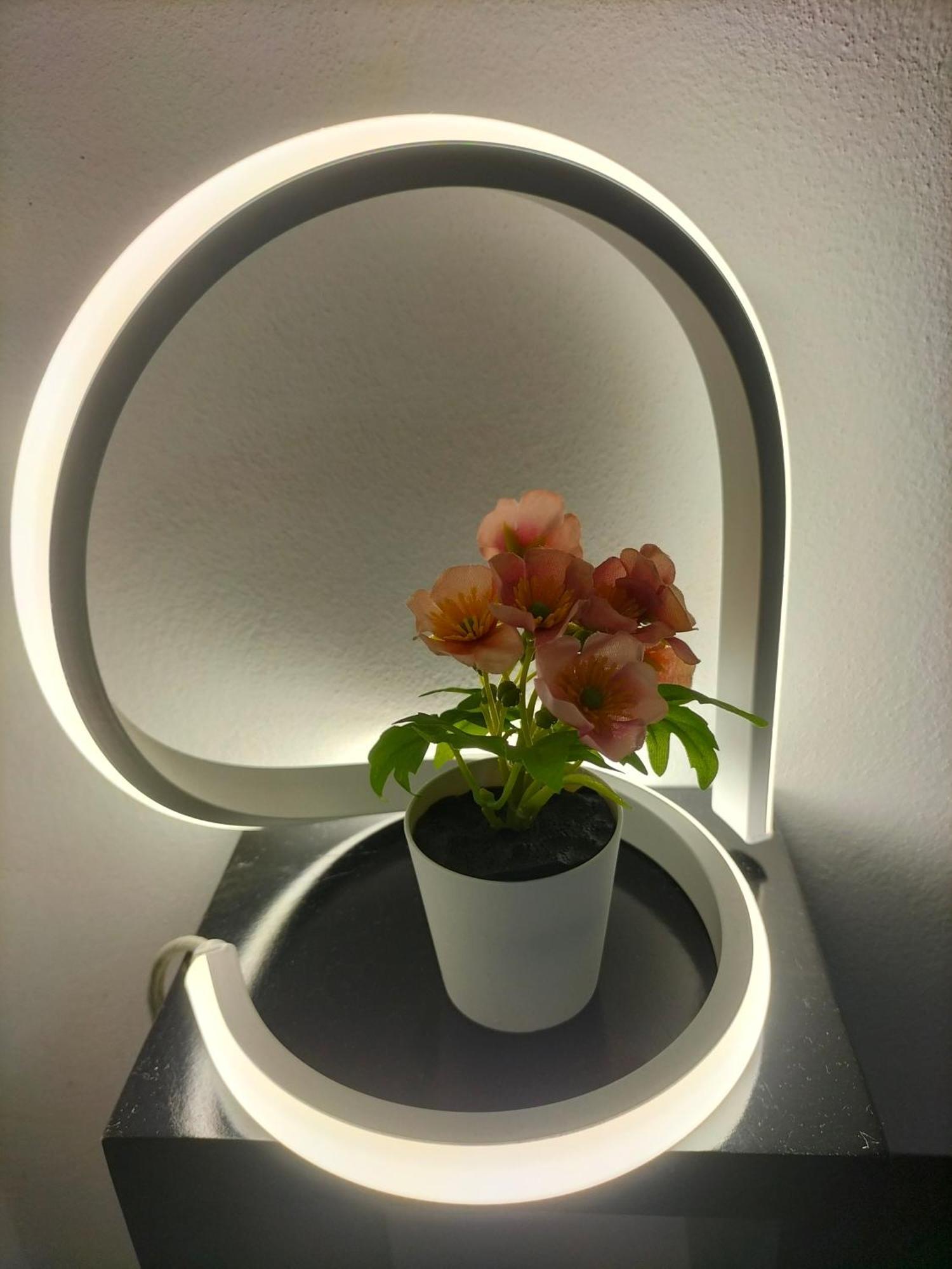 Ciuridda Mia Appartement Palermo Buitenkant foto