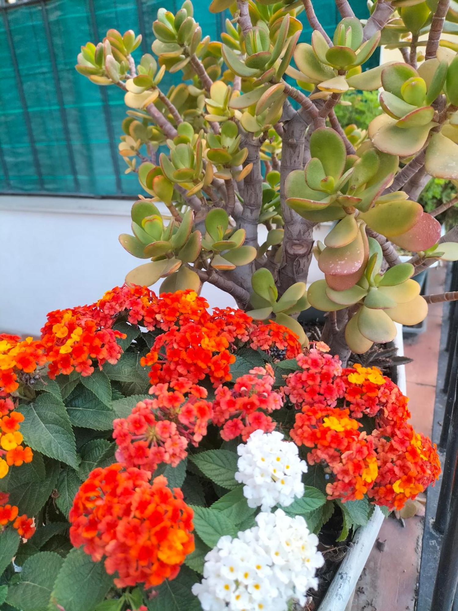 Ciuridda Mia Appartement Palermo Buitenkant foto